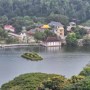 Lazy Bear In Kandy