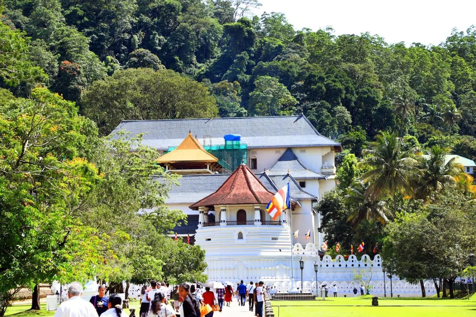 Hostel Avion Kandy Sri Lanka
